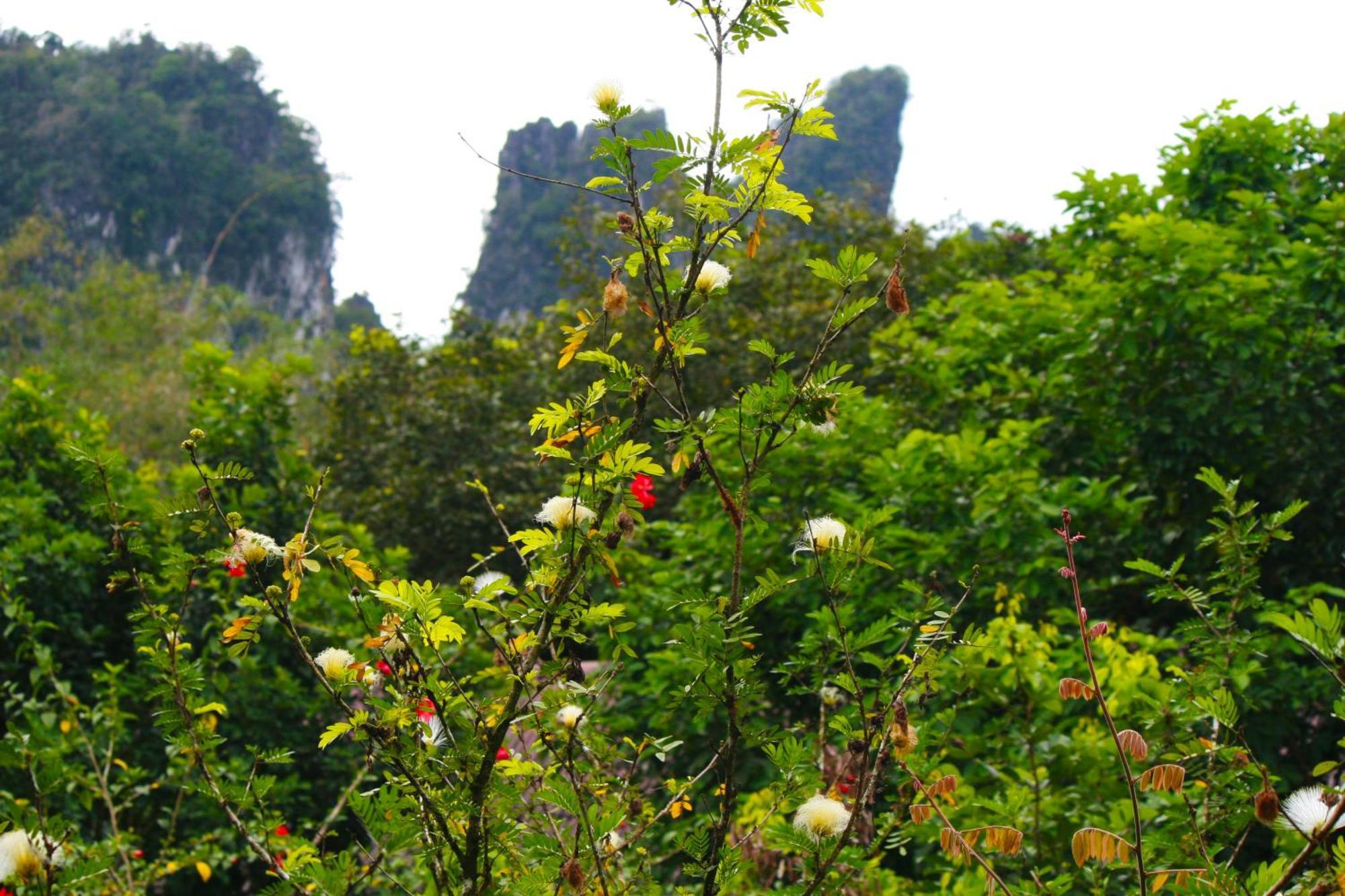 Khao Sok Morning Mist Resort Khao Sok National Park Exterior photo