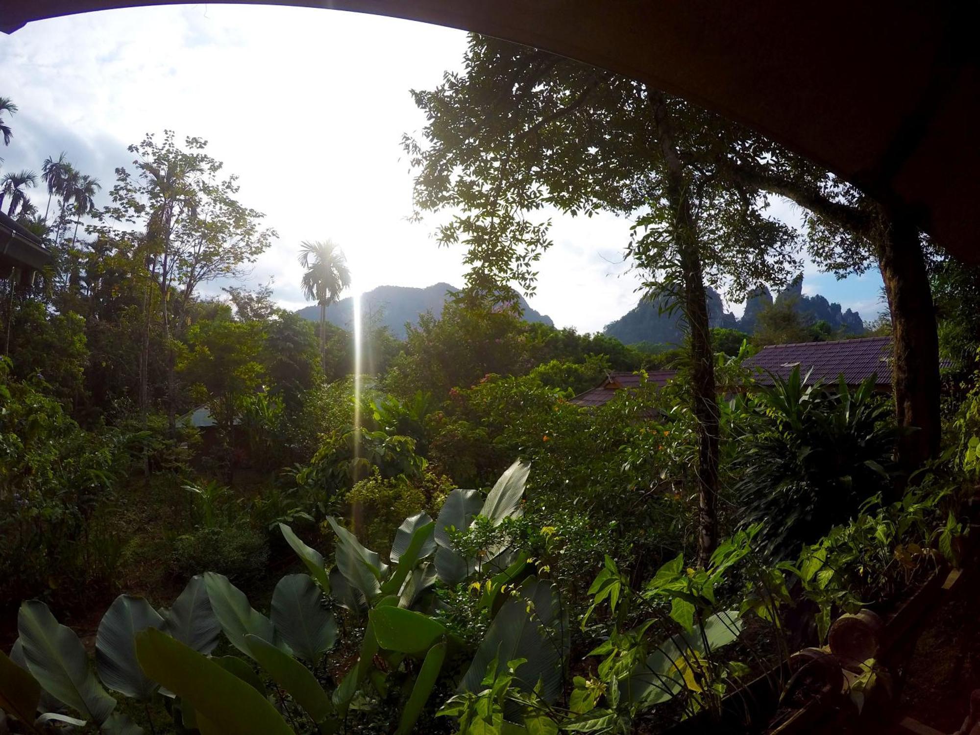 Khao Sok Morning Mist Resort Khao Sok National Park Exterior photo