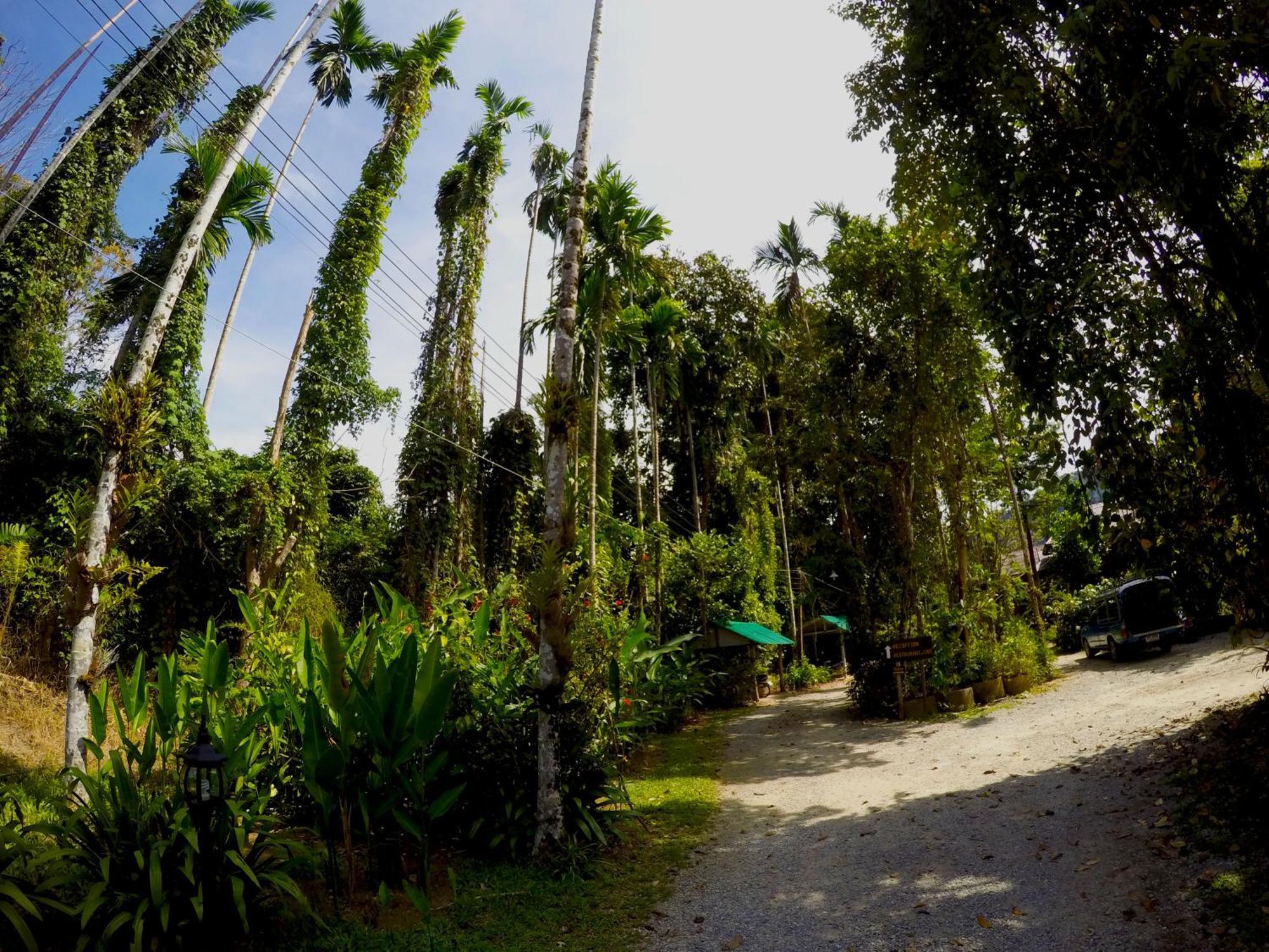 Khao Sok Morning Mist Resort Khao Sok National Park Exterior photo