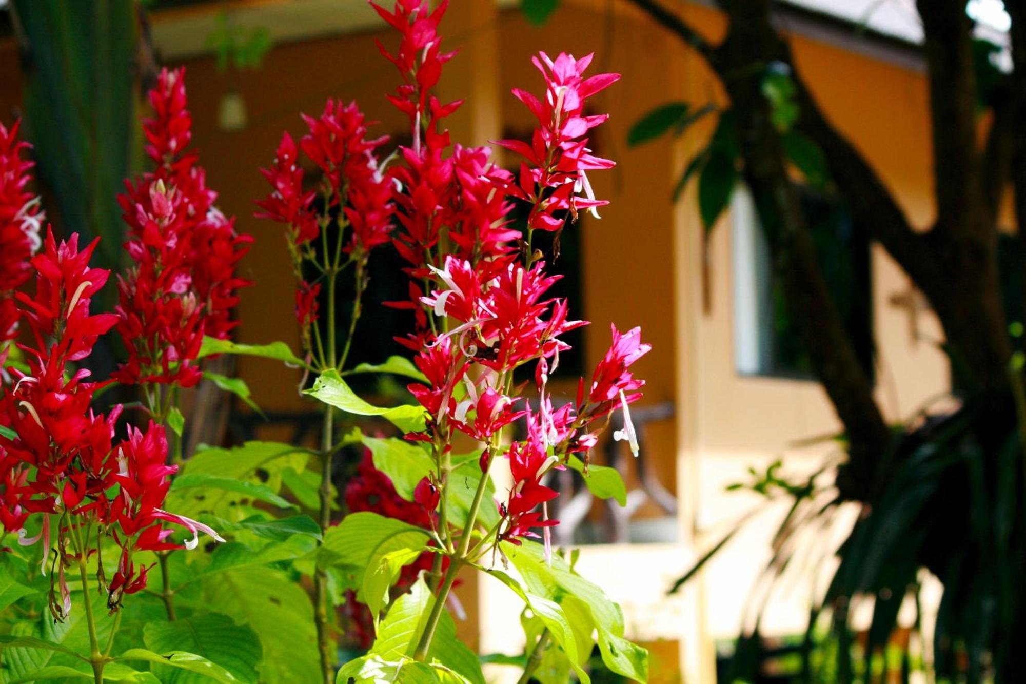 Khao Sok Morning Mist Resort Khao Sok National Park Exterior photo