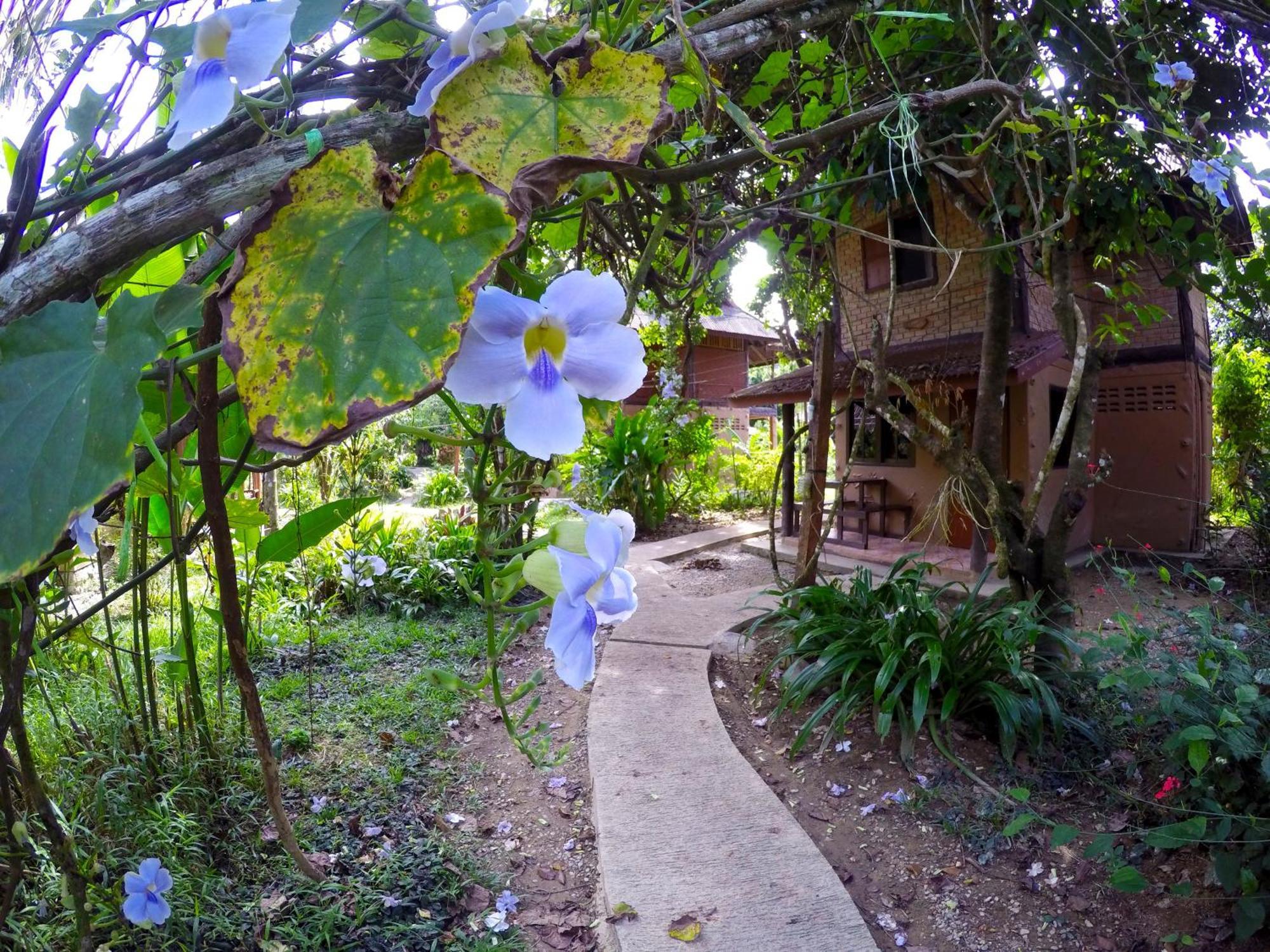 Khao Sok Morning Mist Resort Khao Sok National Park Exterior photo